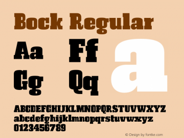 Bock Regular Version 1.000;PS 001.000;hotconv 1.0.88;makeotf.lib2.5.64775图片样张