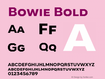 Bowie Bold Version 1.001;PS 001.001;hotconv 1.0.88;makeotf.lib2.5.64775 Font Sample