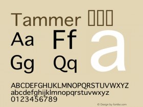 Tammer 常规体  Font Sample