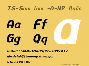 TS-Som tum -A-NP Italic Version 1.002 2013图片样张