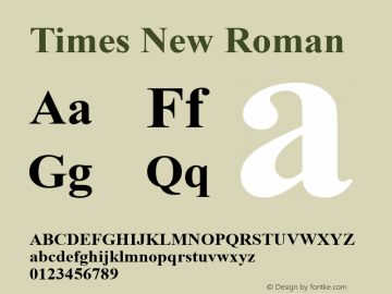 Times New Roman  MS core font:V2.00图片样张