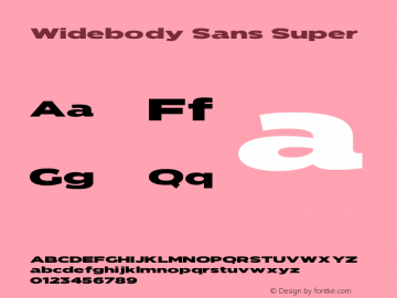 Widebody Sans Super Version 1.002;Fontself Maker 3.0.2 Font Sample