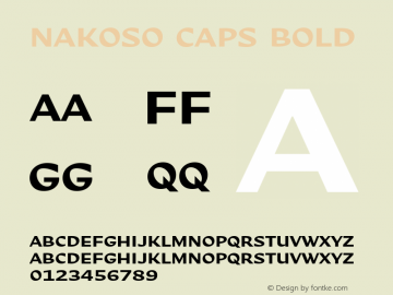 Nakoso CAPS Bold Version 1.000;PS 001.000;hotconv 1.0.88;makeotf.lib2.5.64775 Font Sample