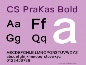 CS PraKas Bold Version 0.1.1图片样张