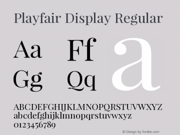 Playfair Display Version 1.004;PS 001.004;hotconv 1.0.70;makeotf.lib2.5.58329 Font Sample