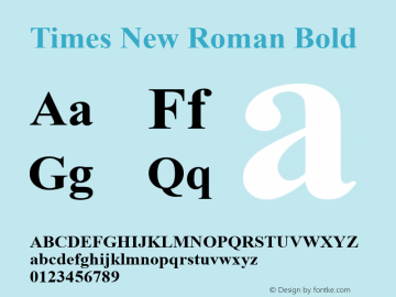 Times New Roman Bold Version 5.05 CH图片样张