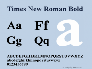 Times New Roman Bold Version 3.00图片样张