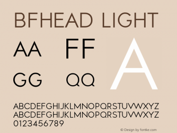 BFHead Light Version 001图片样张