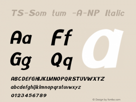 TS-Som tum -A-NP Italic Version 1.002 2013图片样张