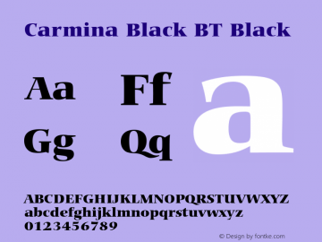 Carmina Black BT Black mfgpctt-v4.4 Jan 4 1999图片样张