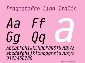 PragmataPro Liga Italic Version 0.829图片样张