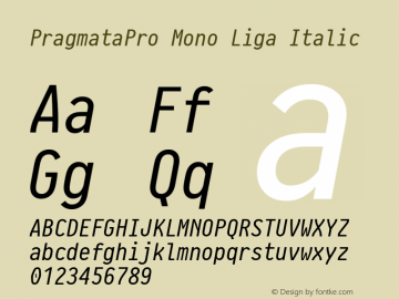 PragmataProMonoLiga-Italic Version 0.829图片样张