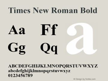 Times New Roman Bold Version 7.01图片样张