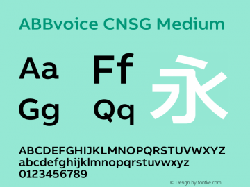 ABBvoice CNSG Medium Version 1.001 Font Sample