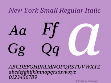 New York Small Regular Italic Version 16.0d1e4图片样张