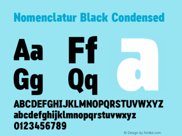 Nomenclatur Black Condensed 1.100图片样张