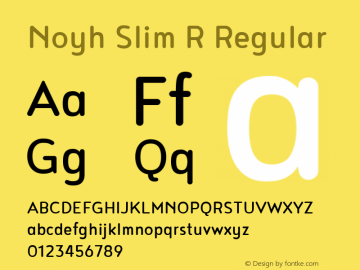 Noyh Slim R 1.000 Font Sample