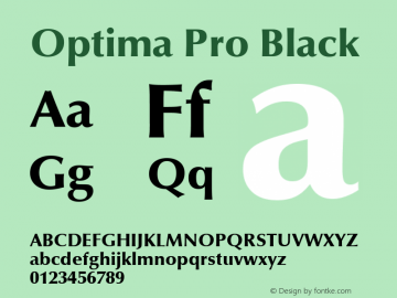 Optima Pro Black 1.00 Build 1000图片样张