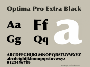 Optima Pro Extra Black 1.00 Build 1000图片样张