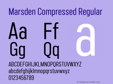 Marsden Compressed 1.000图片样张