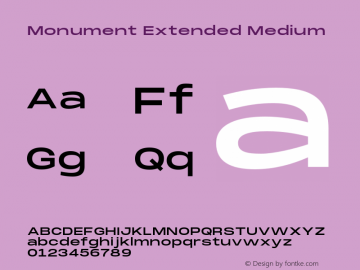 Monument Extended Medium Version 2.000;hotconv 1.0.109;makeotfexe 2.5.65596 Font Sample
