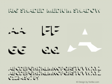 Rig Shaded Medium Shadow Version 2.000图片样张