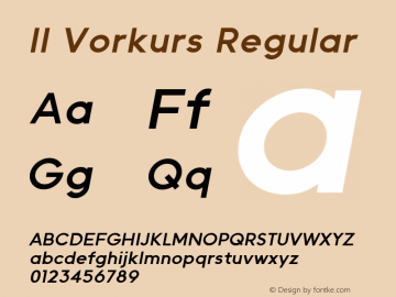 II Vorkurs Bold Oblique Version 1.01图片样张