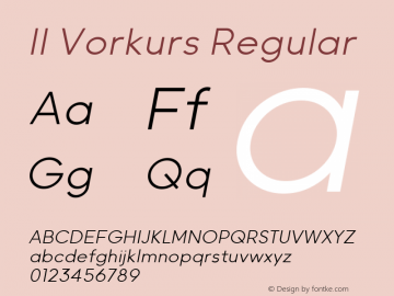 II Vorkurs Light Oblique Version 1.009图片样张