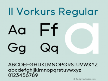 II Vorkurs Medium Version 1.034图片样张