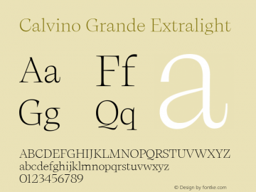 Calvino Grande Extralight Version 1.000;FEAKit 1.0图片样张