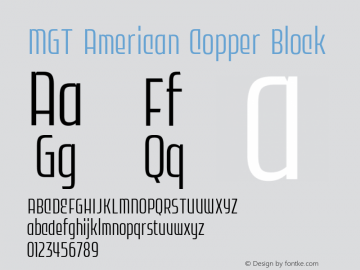 MGT American Copper Block 1.000图片样张