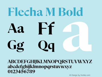 Flecha M Bold Version 2.001图片样张