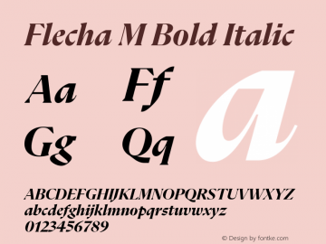 Flecha M Bold Italic Version 2.001图片样张