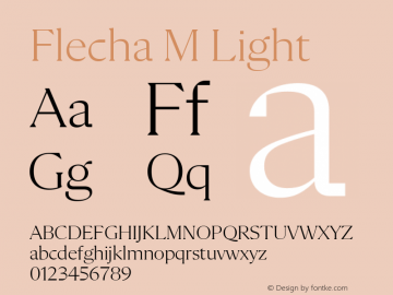 Flecha M Light Version 2.001图片样张