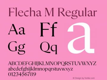 Flecha M Version 2.001图片样张