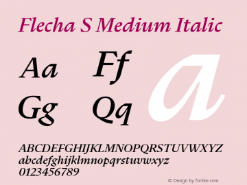 Flecha S Medium Italic Version 2.001图片样张