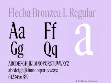 Flecha Bronzea L Version 1.000图片样张