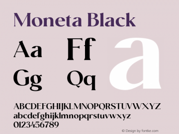 Moneta Black 1.000图片样张