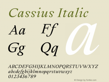 Cassius Regular Italic Version 1.001图片样张