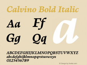 Calvino Bold Italic Version 1.000;FEAKit 1.0图片样张