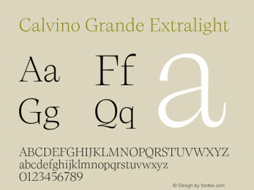 Calvino Grande Extralight Version 1.000;FEAKit 1.0图片样张