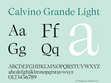 Calvino Grande Light Version 1.000;FEAKit 1.0图片样张