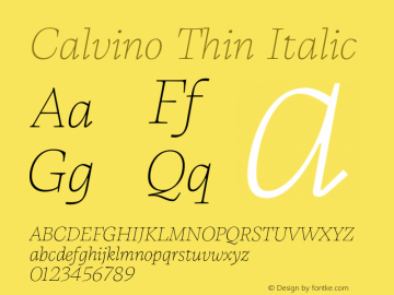 Calvino Thin Italic Version 1.000;FEAKit 1.0图片样张