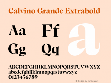 Calvino Grande Extrabold Version 1.000图片样张