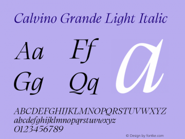 Calvino Grande Light Italic Version 1.000图片样张