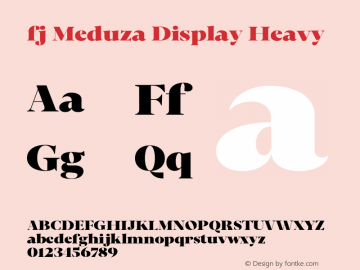 fj Meduza Display Heavy Version 1.000图片样张