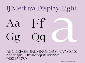 fj Meduza Display Light Version 1.000图片样张
