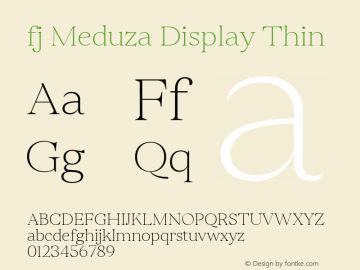 fj Meduza Display Thin Version 1.000图片样张
