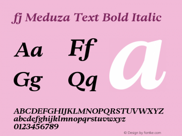 fj Meduza Text Bold Italic Version 1.000图片样张