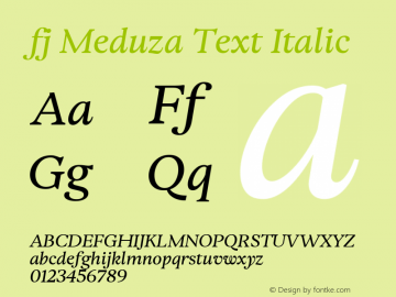 fj Meduza Text Italic Version 1.000图片样张